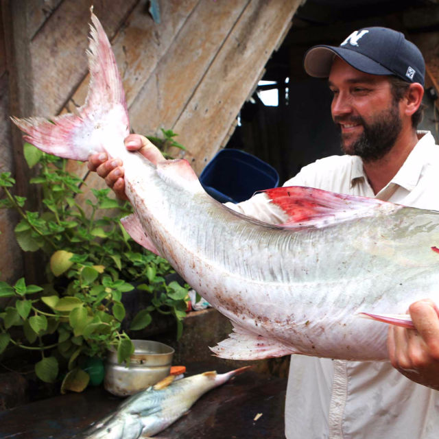 Monster Fish: Fantastic Beasts