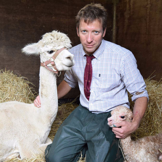 Veterinar în Yorkshire