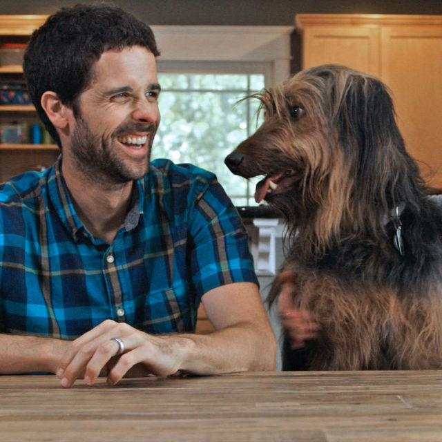 Is Your Dog A Genius: Best In Show