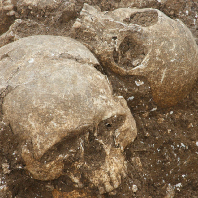 Viking apokalipszis