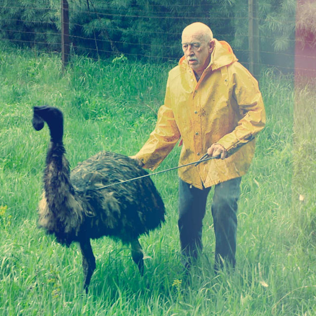 Dr. Pol: Spesial etter 100 episoder