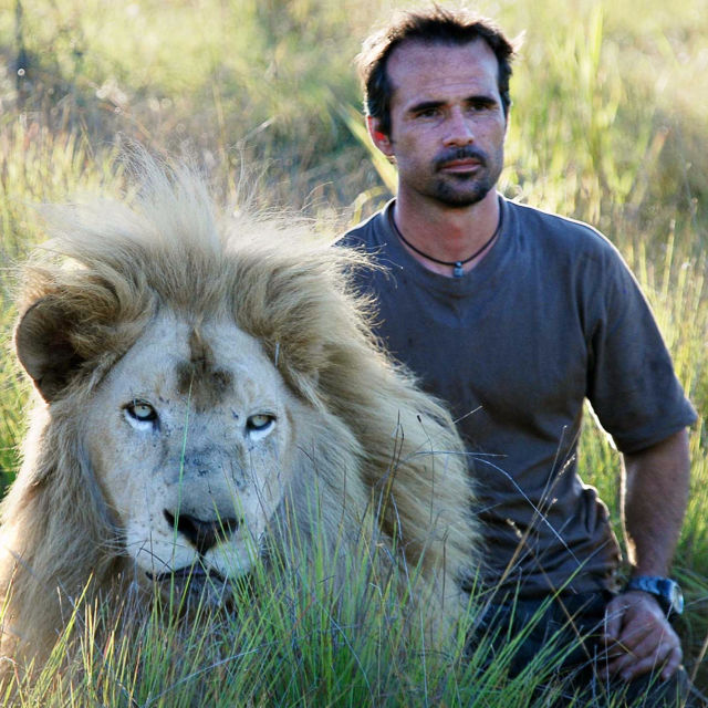 My Lion Family