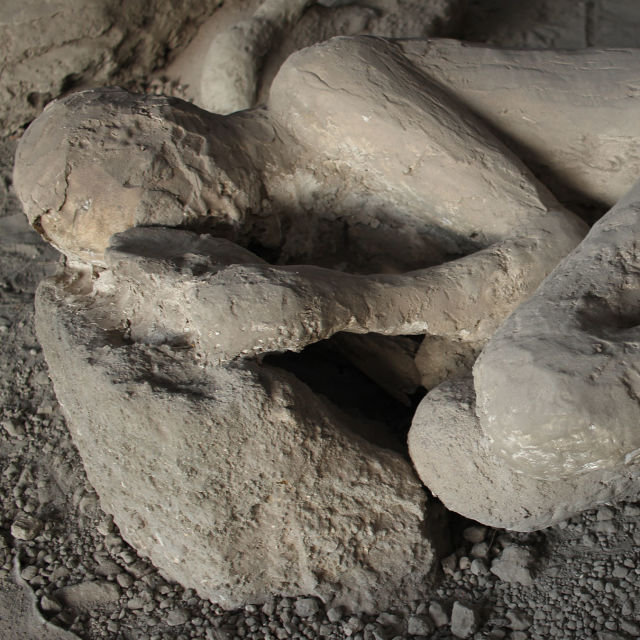 Pompeji: Tajne mrtvih