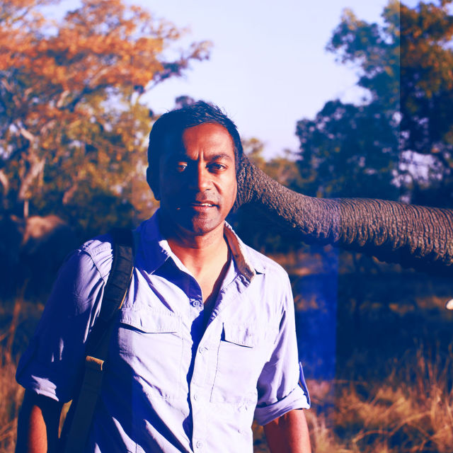 Man And The Wild