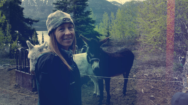 Veterinária de Yukon