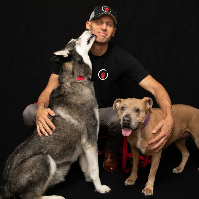 Dog Impossible: No Bad Dogs