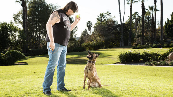 Alpha Dogs