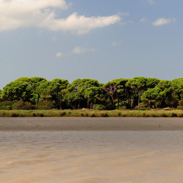 Wild Spain: The Great River