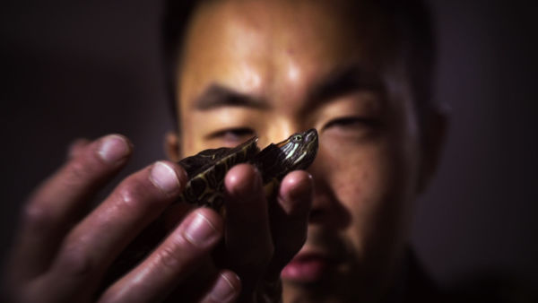 Die komischsten Haustiere