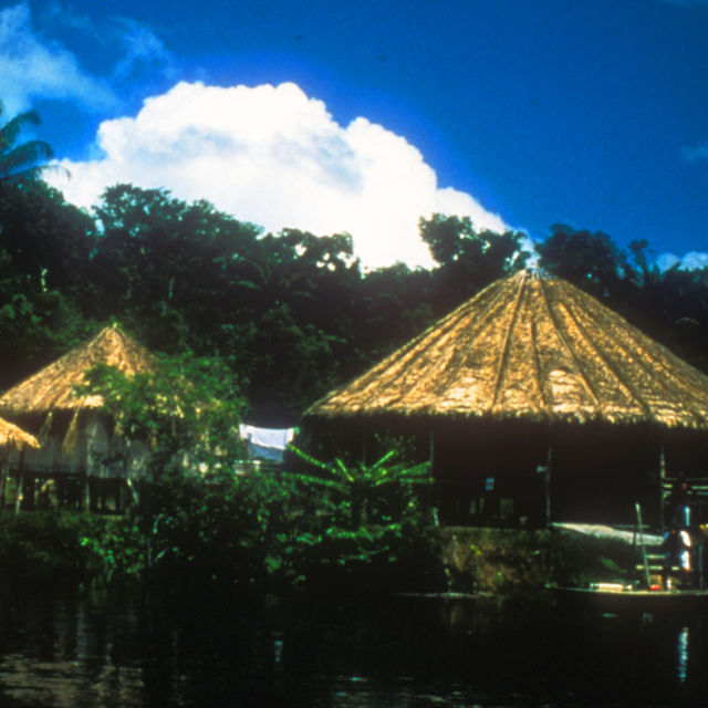 Amazonía