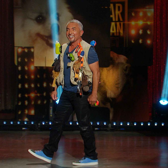 Cesar Millan: Viva Las Vegas!