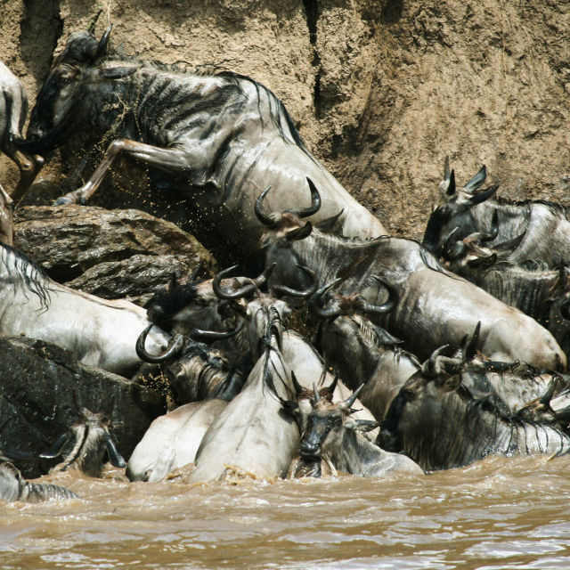 Africa's Blood River