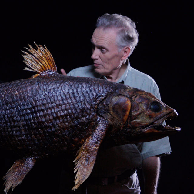 Dinofish