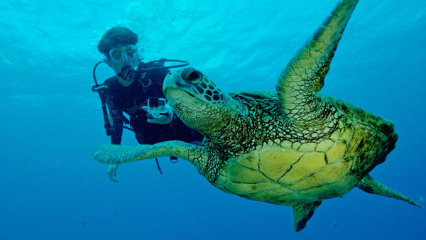 Mar de Esperança: Tesouros submersos da América