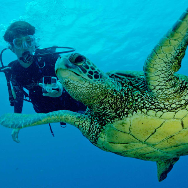 Sea Of Hope: America's Underwater Treasures