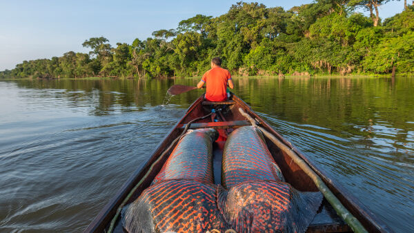 Експедиция „Амазонка“