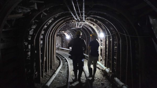 Партизанска треска за злато: Смъртоносно начинание