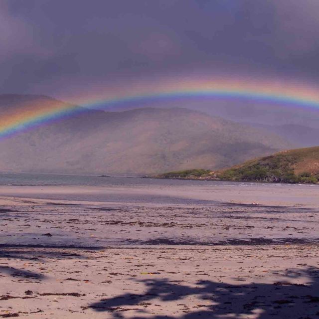Austrálie, země prastarých tvorů