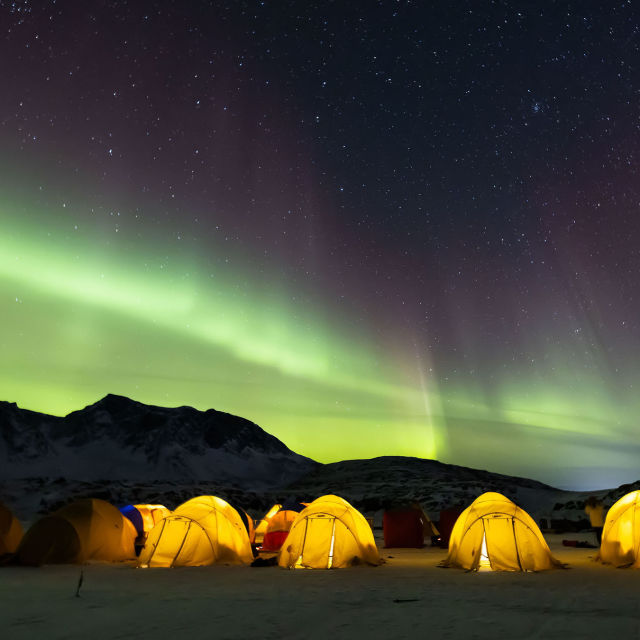 Operace arktický lék