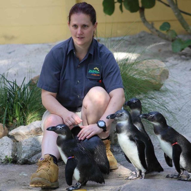 Tajemství ZOO: Tučňáci