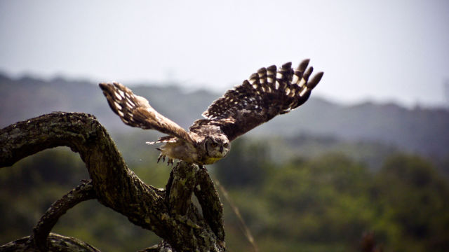 Podivuhodná příroda
