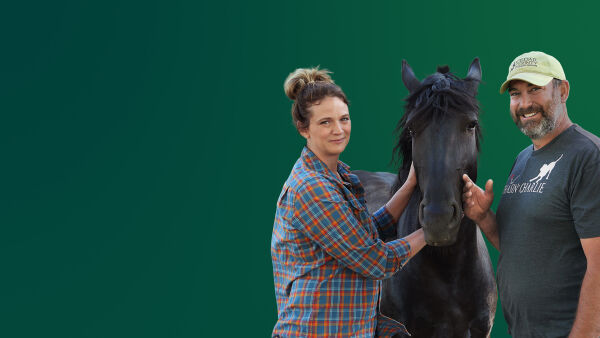 Heartland Docs - Die Tierarzt-Familie