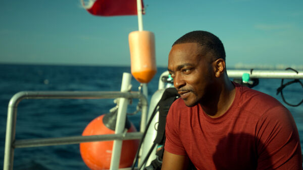 Der Strand der Haie mit Anthony Mackie: Golfküste