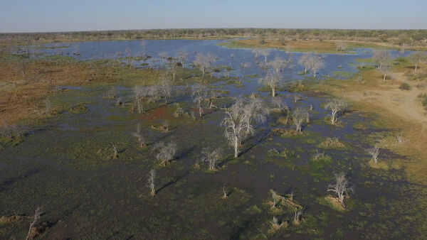 Flut in der Kalahari