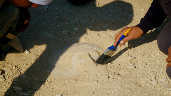 Tal der Könige: Ägyptens verlorene Schätze