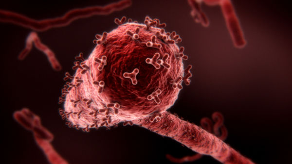 Breakthrough - Aufbruch in unsere Zukunft