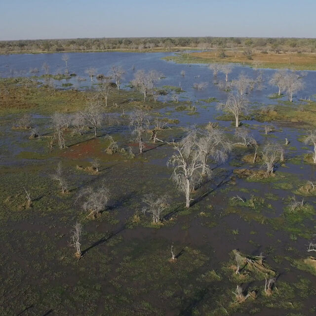 Flut in der Kalahari