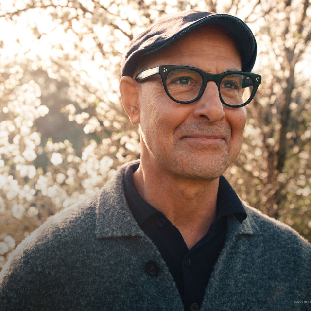 Tucci in Italy