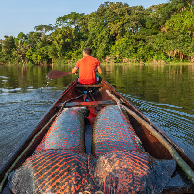 Expedition Amazon