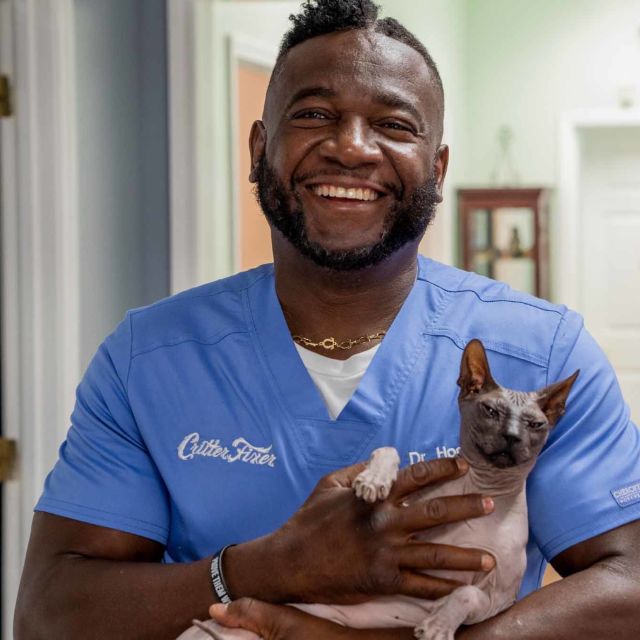 Critter Fixers: Sydstatsfamilie