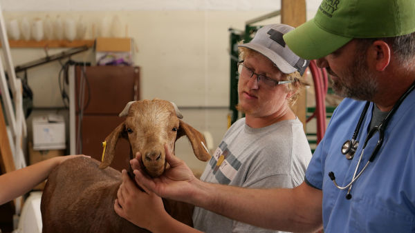 Heartland Docs
