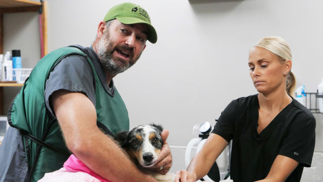 Heartland Docs