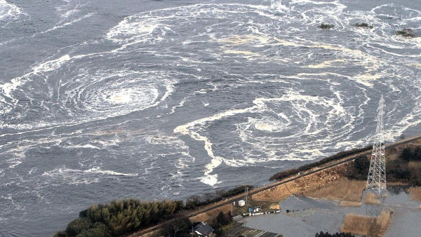 Testigos: la tragedia de Japón