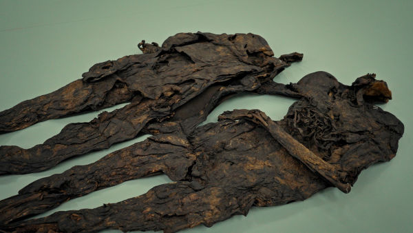 Arqueología de la muerte