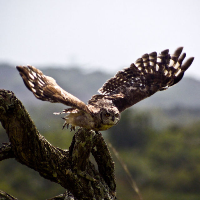 La naturaleza más extraña