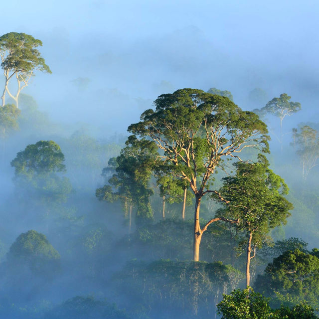 Wild Asia: Islas paradisíacas