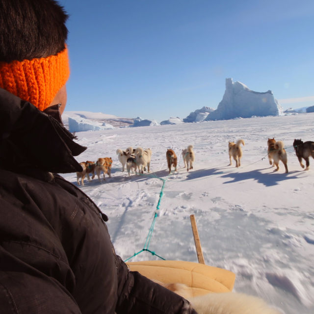 Arktis: Katoava jää