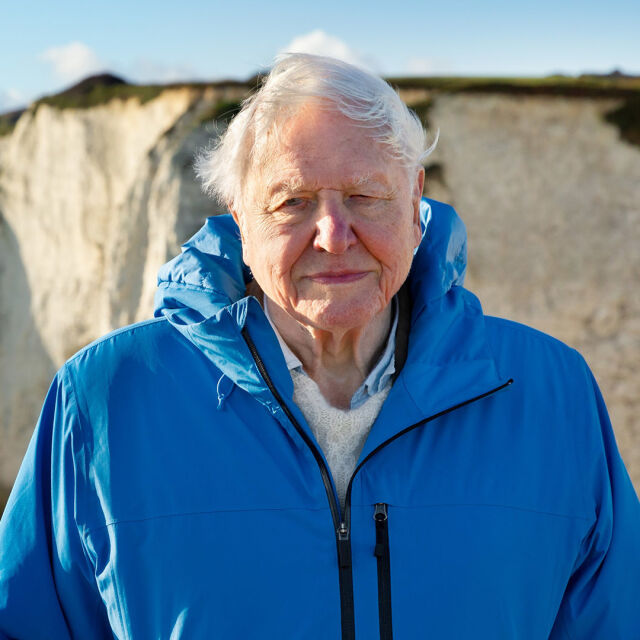David Attenborough: Valtameret