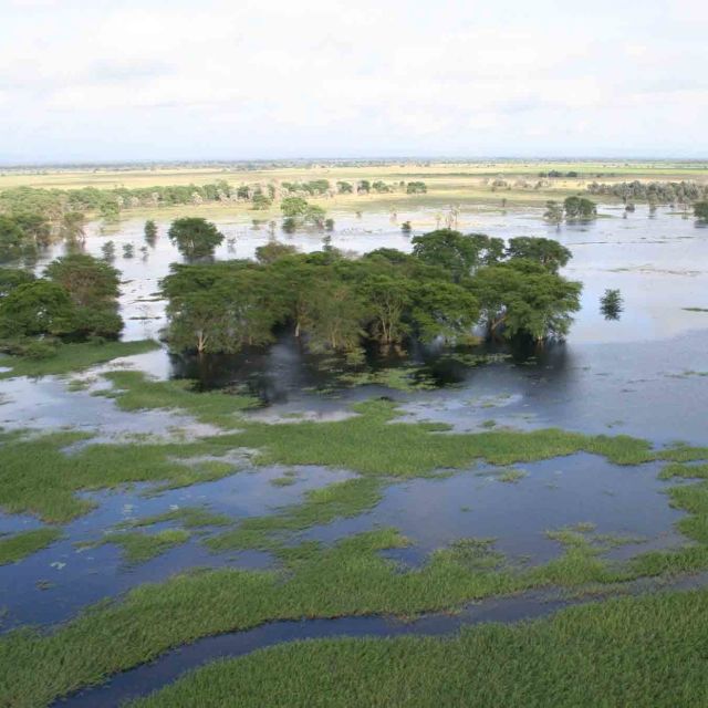 Gorongosa: Uusi paratiisi