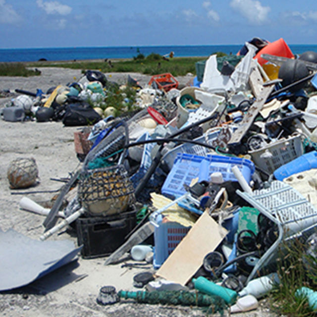 Plastic Paradise