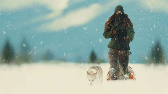 Northwoods Survival - selviytymisseikkailu