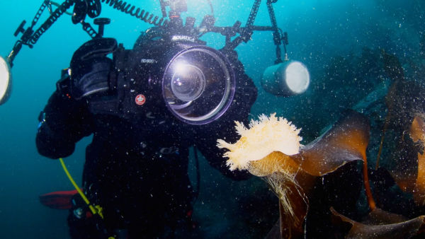 Pristine Seas