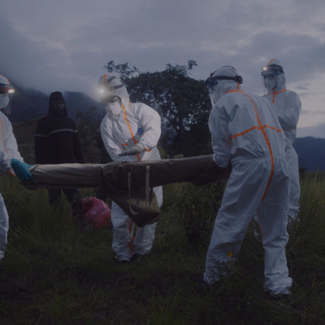 Κυνηγώντας τον Ιό