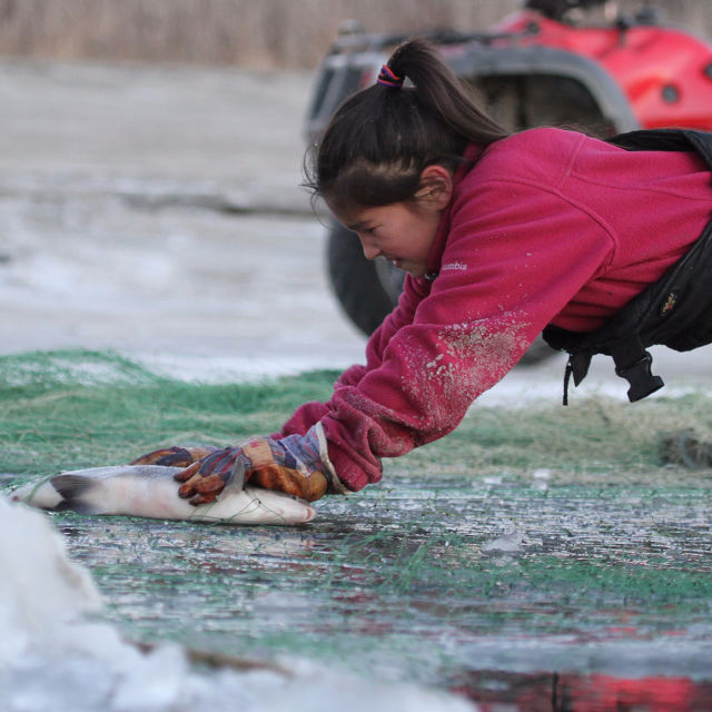 Αλάσκα: Επιβίωση σε Ακραίες Συνθήκες