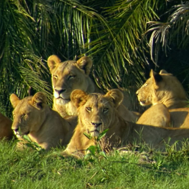 Neumoljivi neprijatelji