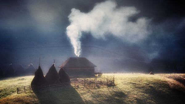 Divlja Transilvanija: Tajno kraljevstvo Drakule